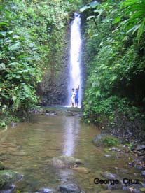 Swimming Tropical Rainforest Ecuador